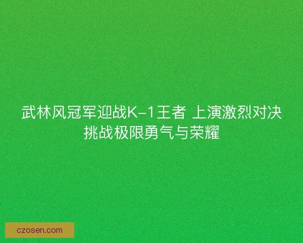 武林风冠军迎战K-1王者 上演激烈对决挑战极限勇气与荣耀
