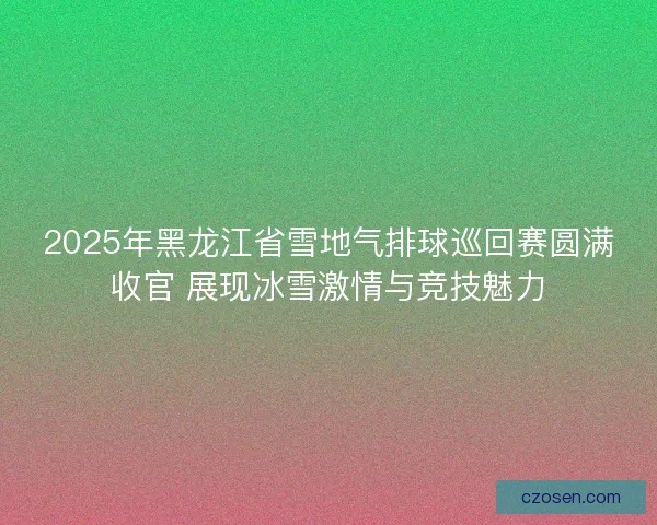 2025年黑龙江省雪地气排球巡回赛圆满收官 展现冰雪激情与竞技魅力