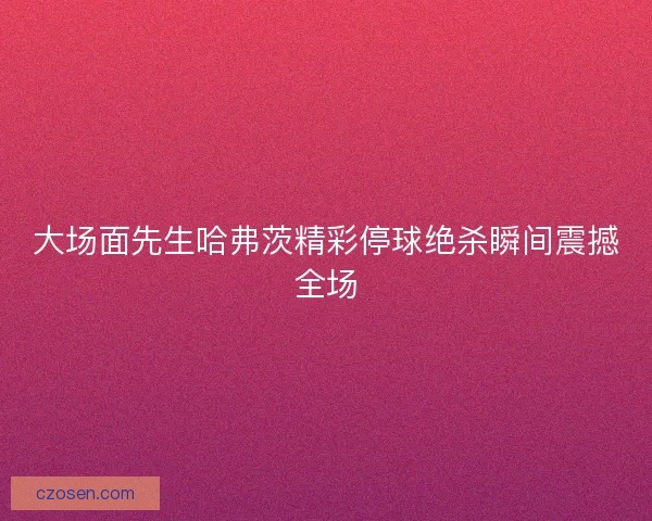 大场面先生哈弗茨精彩停球绝杀瞬间震撼全场