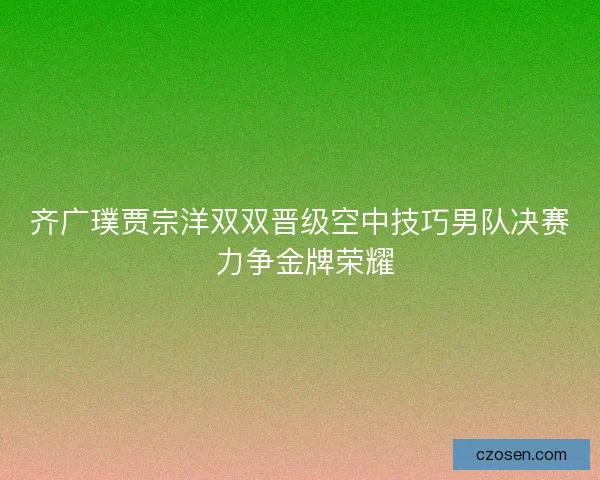 齐广璞贾宗洋双双晋级空中技巧男队决赛 力争金牌荣耀